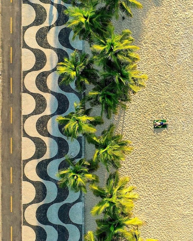Aerial view of palms and a wave-patterned beachfront promenade